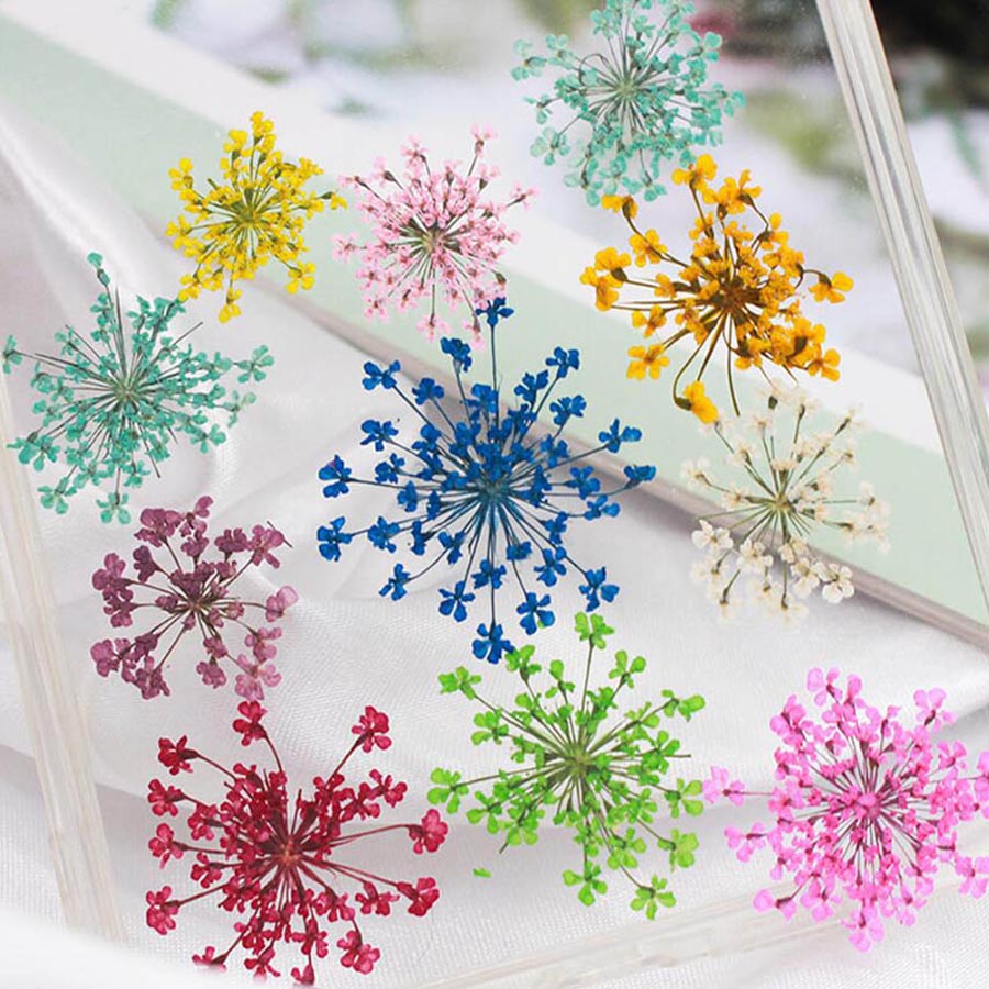 60pcs Pressed Dried 15-25mm Am - Dried Flower Bookmark recension och pris