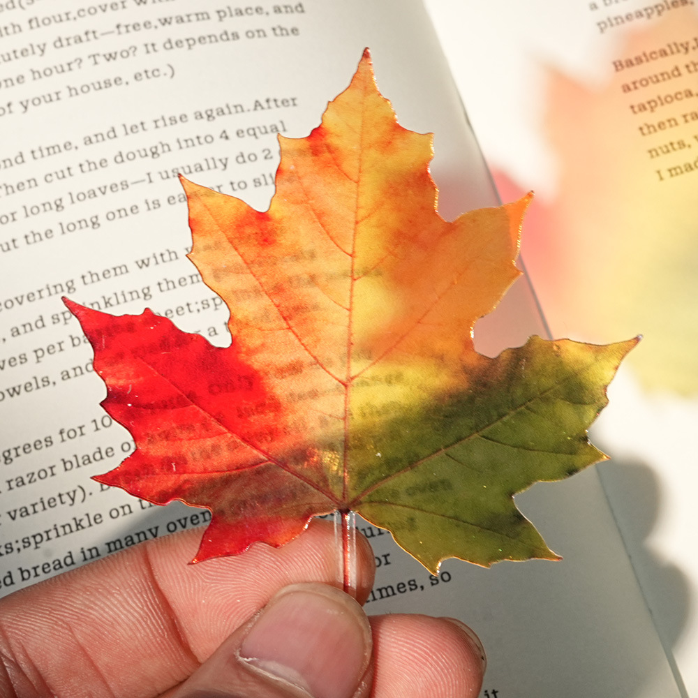 New Delicate Leaves Bookmark T - Dried Flower Bookmark recension och pris