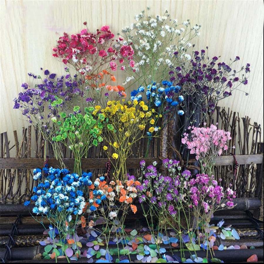 60pcs Dried Pressed Absorbed C - Dried Flower Bookmark recension och pris