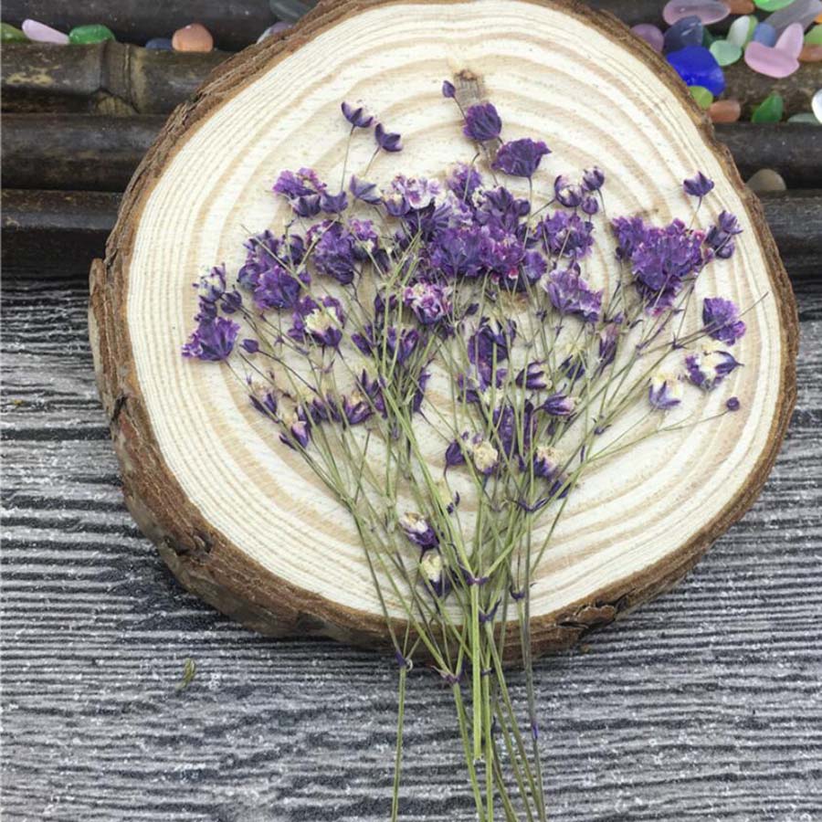 60pcs Dried Pressed Absorbed C - Dried Flower Bookmark recension och pris