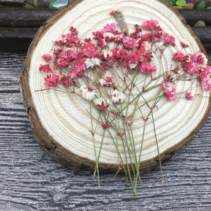 60pcs Dried Pressed Absorbed C - Dried Flower Bookmark recension och pris