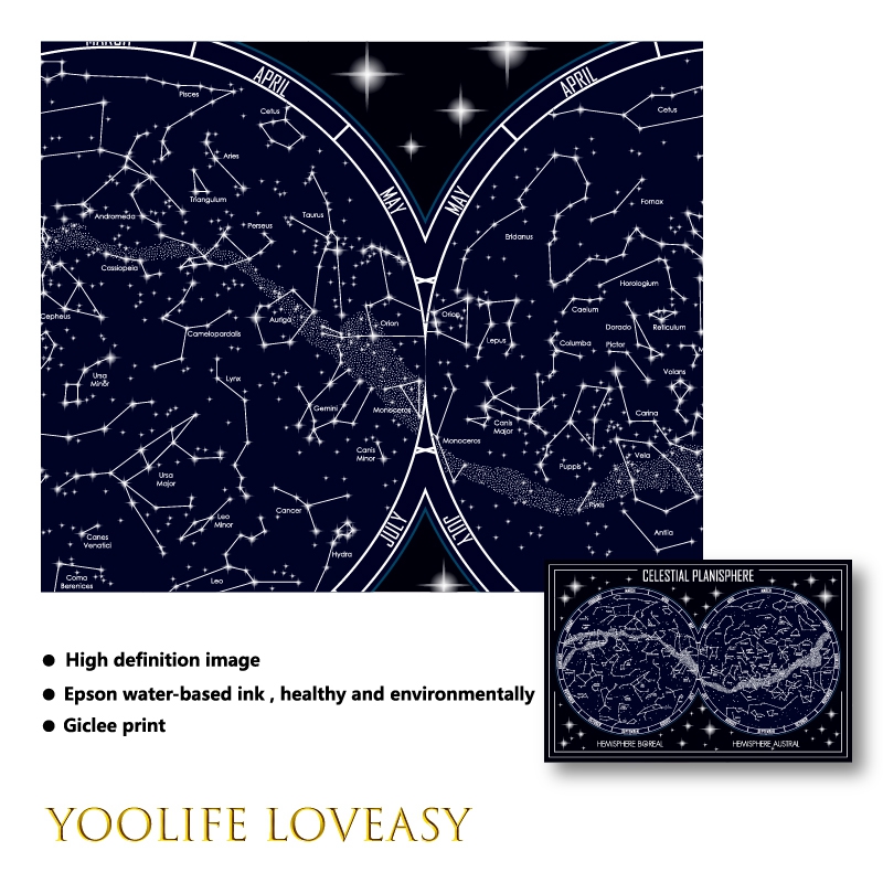 Celestial Planisphere Map Canv - Custom Star Map recension och pris